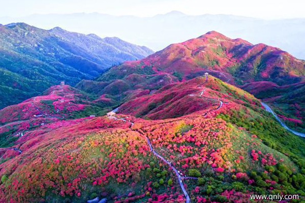 西藏旅游費用