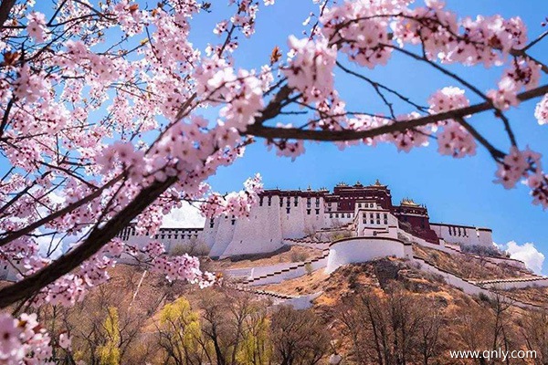 西藏旅行團旅游多少錢