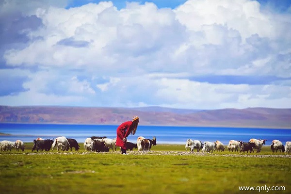 西藏旅行團旅游多少錢