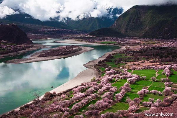 選擇旅行團旅游多少錢