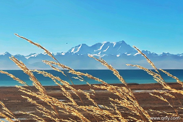 去西藏旅游報團(tuán)多少錢
