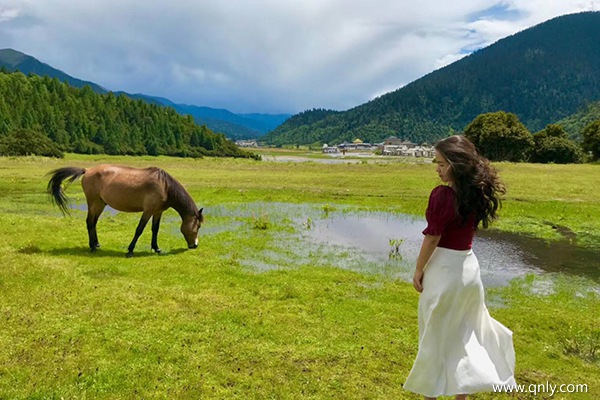 去西藏旅行費用多少錢