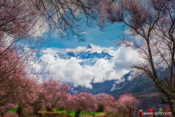 西藏旅游幾月份合適