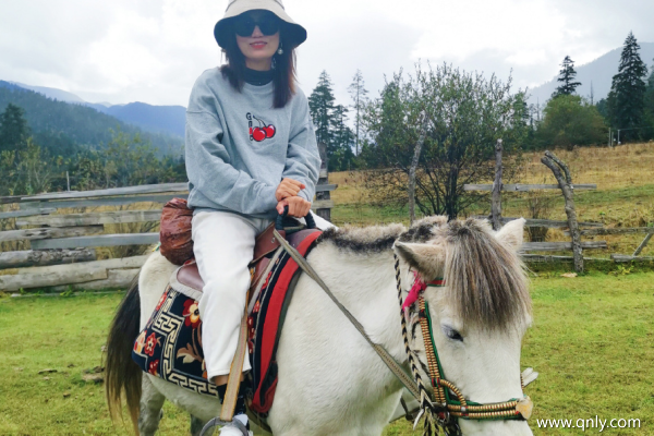 貴陽(yáng)去西藏旅游多少錢