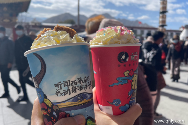 第一次去西藏怎樣游玩