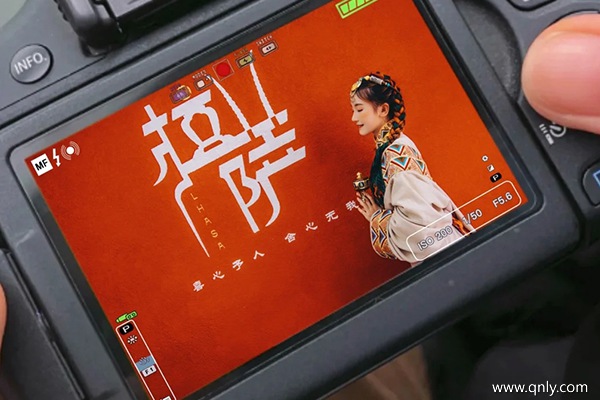 臨沂跟團(tuán)去西藏費(fèi)用是多少