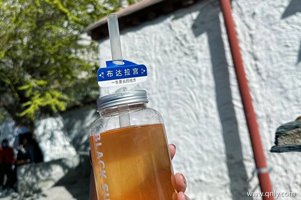三個人去拉薩旅游大概需要多少錢