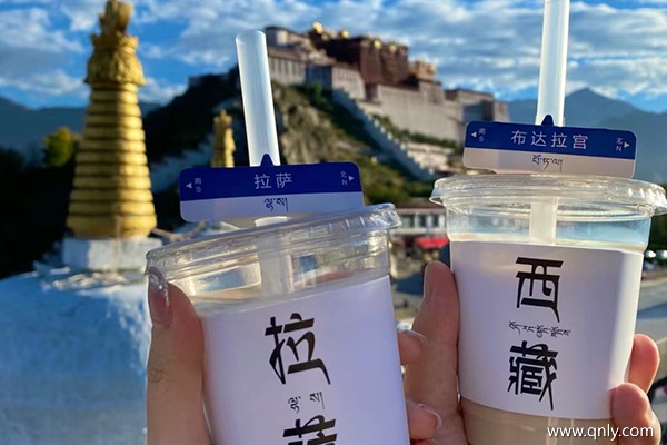 跟團(tuán)去西藏費(fèi)用多少錢