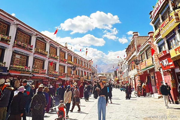 一家三口去西藏旅游大概多少錢(qián)
