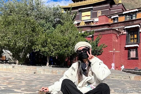 成都去西藏旅游的費(fèi)用？