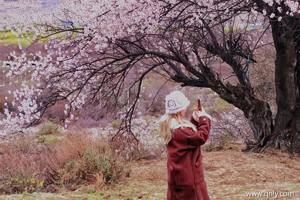一個(gè)人去西藏旅游大概多少錢呢視頻