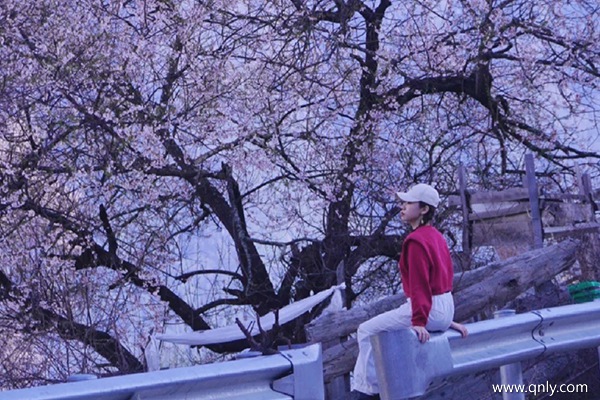 西藏7天旅游費用大概多少