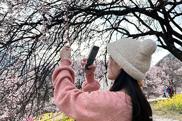 成都到拉薩跟團(tuán)旅游