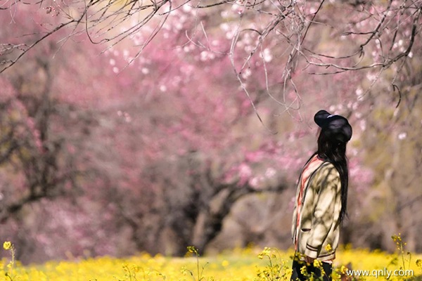 一個(gè)人去拉薩要準(zhǔn)備多少錢