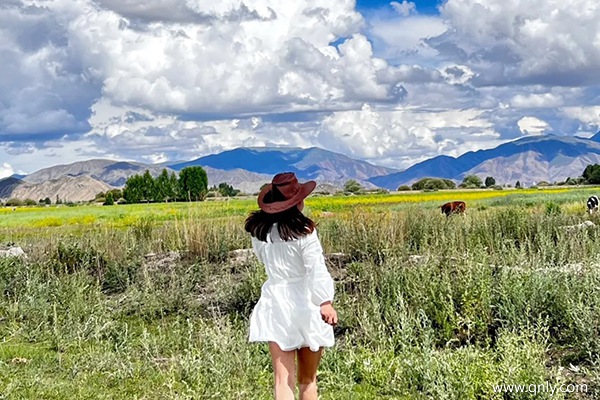 西藏旅游一周大概多少錢