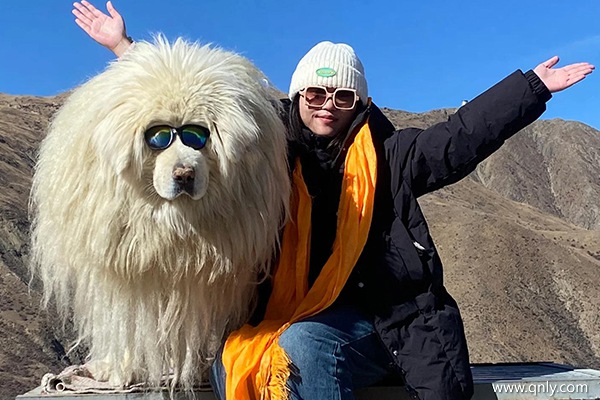 長春報(bào)團(tuán)去西藏旅游7天多少錢